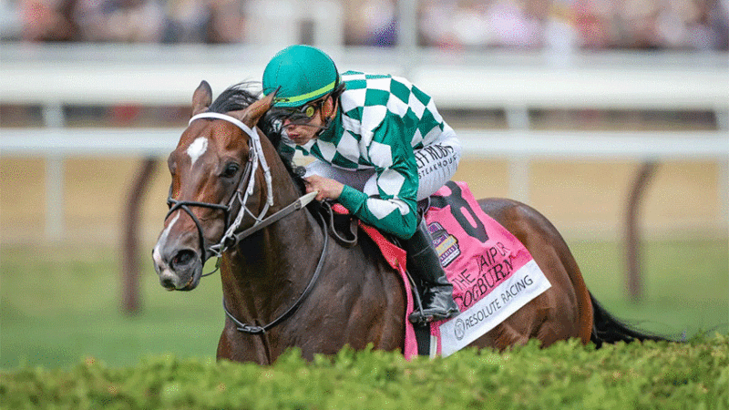 cogburn’s first foal sparks major buzz at winstar farm